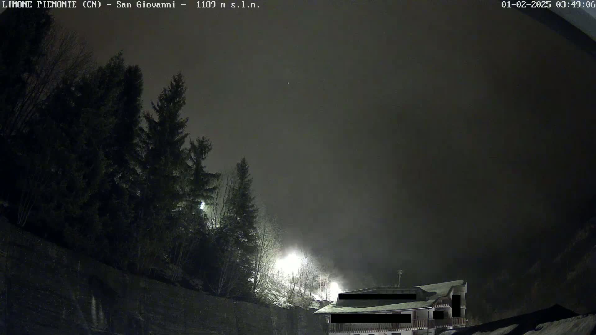 A nighttime, foggy scene shows dark evergreen trees silhouetted against a hazy sky, with a building partially visible in the lower right corner.