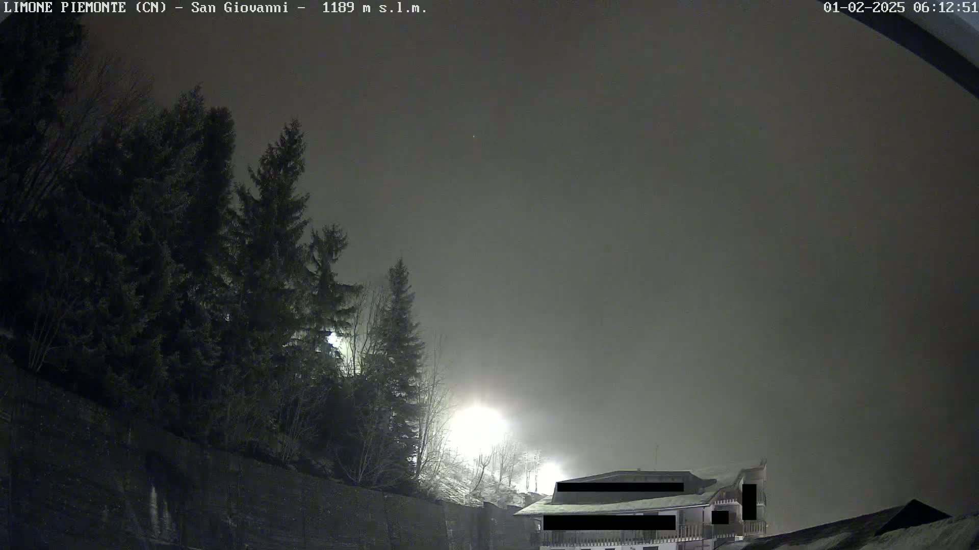 At night, under a foggy sky, evergreen trees stand beside a building illuminated by streetlights.