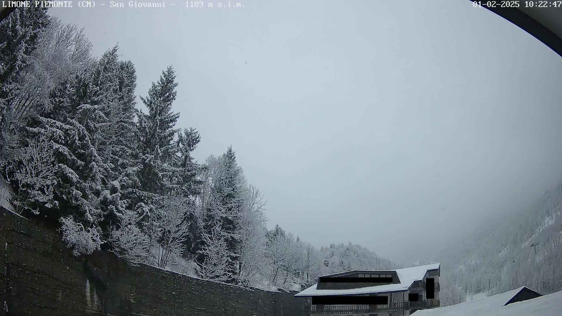 Snow-covered evergreens and a building are visible under a lightly snowing, overcast sky.