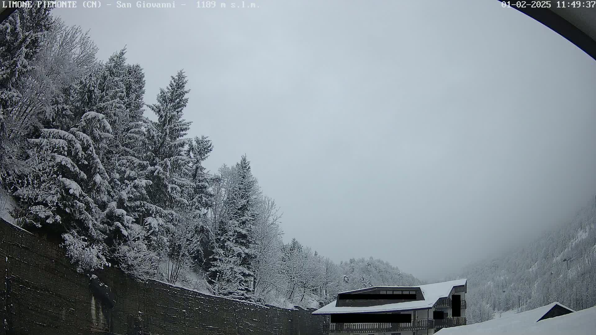 Snow-covered evergreen trees and a building are visible under an overcast sky.