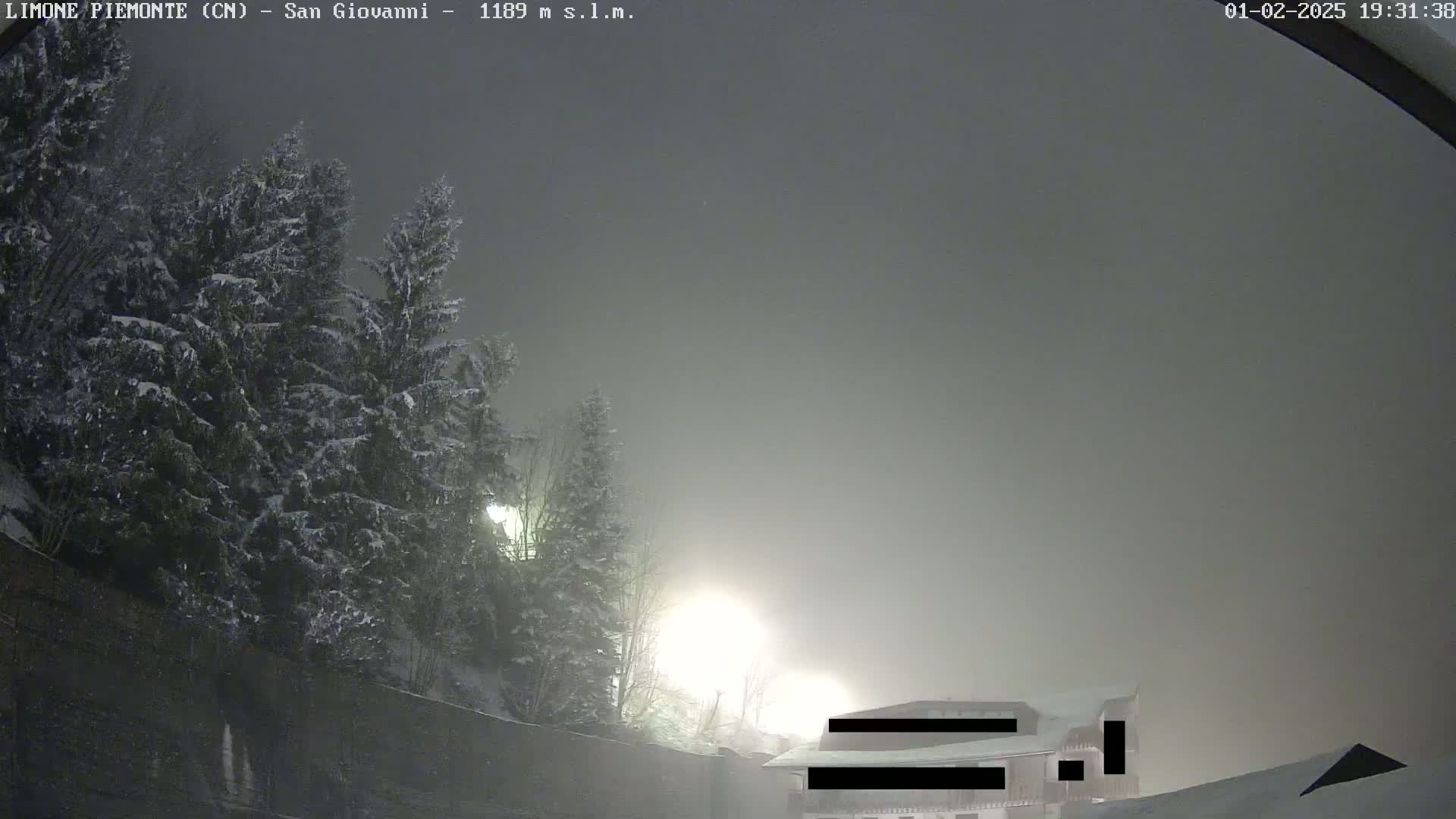 Snow-covered evergreens are visible under a foggy, nighttime sky, with a partially visible building in the distance.