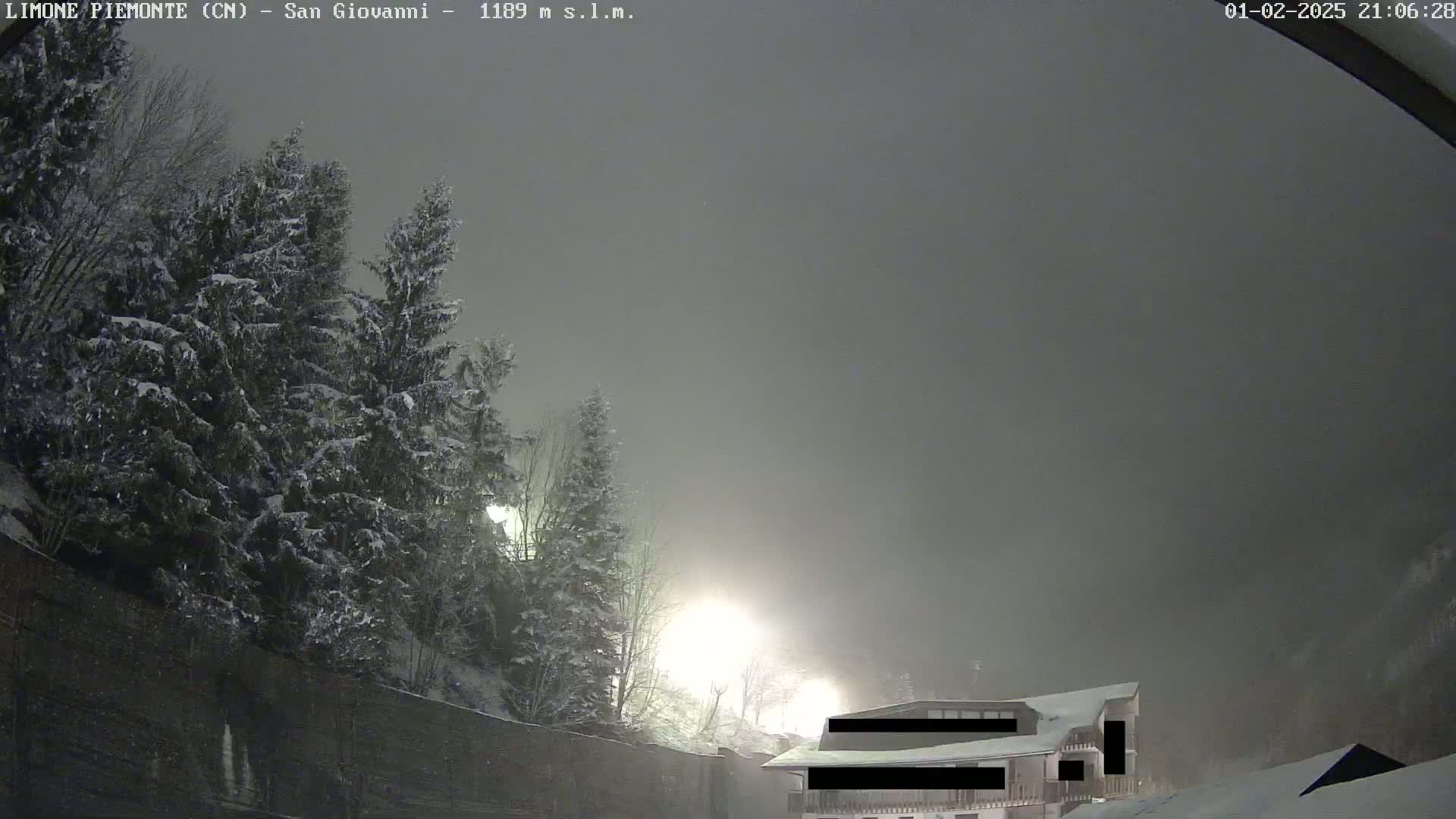 Snow-covered evergreens and a partially visible building are seen in a foggy, nighttime scene.