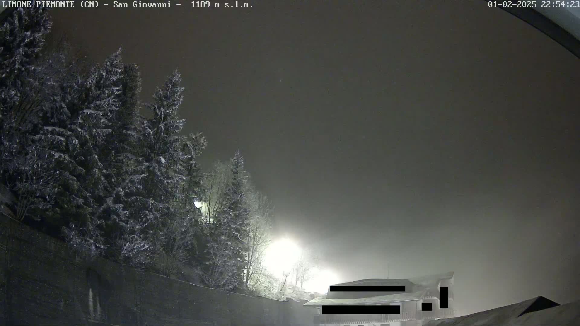 Snow-covered evergreen trees are visible under a foggy, dark night sky, with a building partially obscured by fog in the lower right.