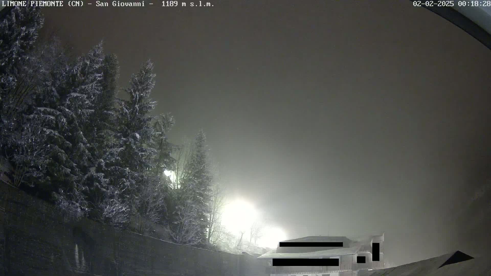 Snow-covered evergreen trees are visible under a foggy, night sky, with faintly lit buildings in the distance.