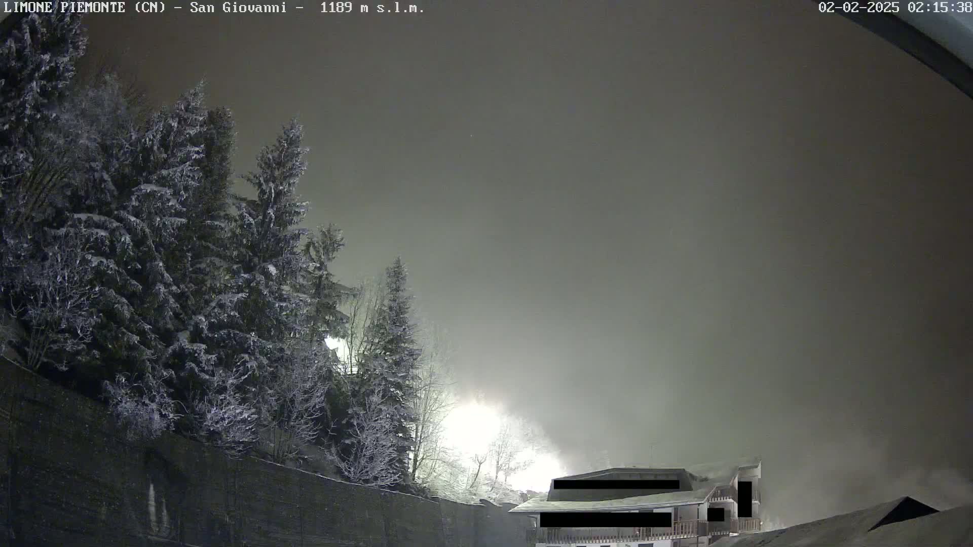 Snow-covered evergreens stand beside a building under a foggy, nighttime sky.