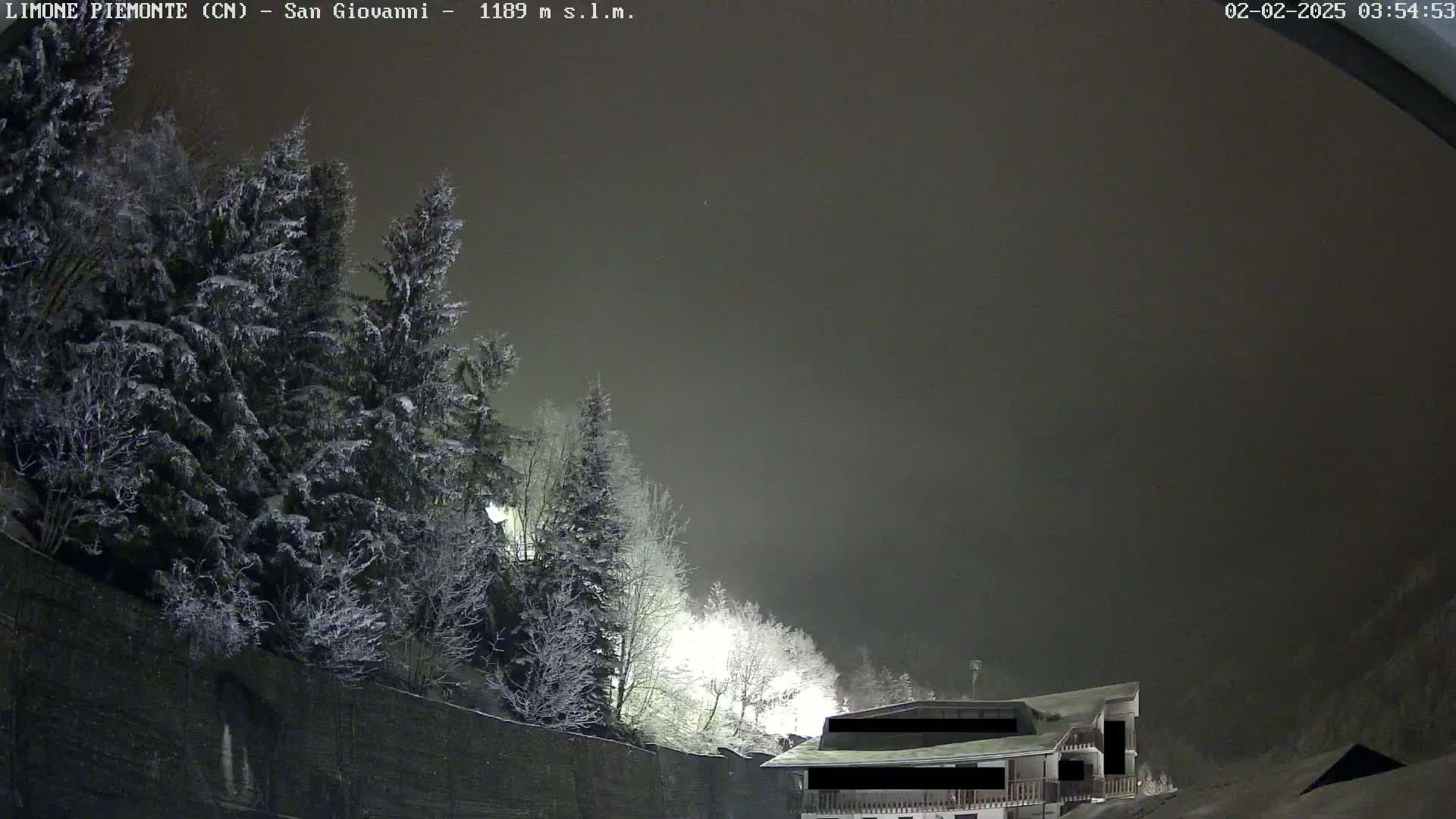 Snow-covered evergreen trees and a building are visible under a dark, hazy night sky.