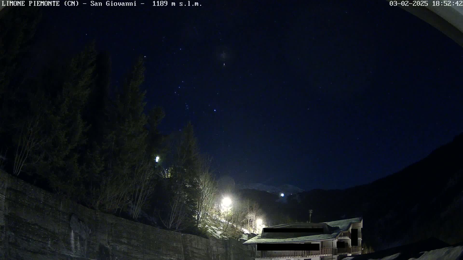 A nighttime view of a mountainside with dark evergreen trees, a building, and a starry sky.