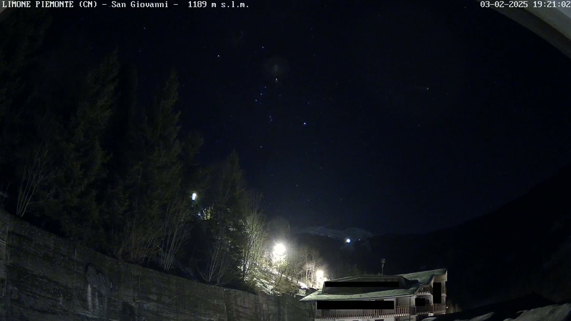 A nighttime view of a building partially obscured by trees under a clear, starry sky with some snow visible on the ground.