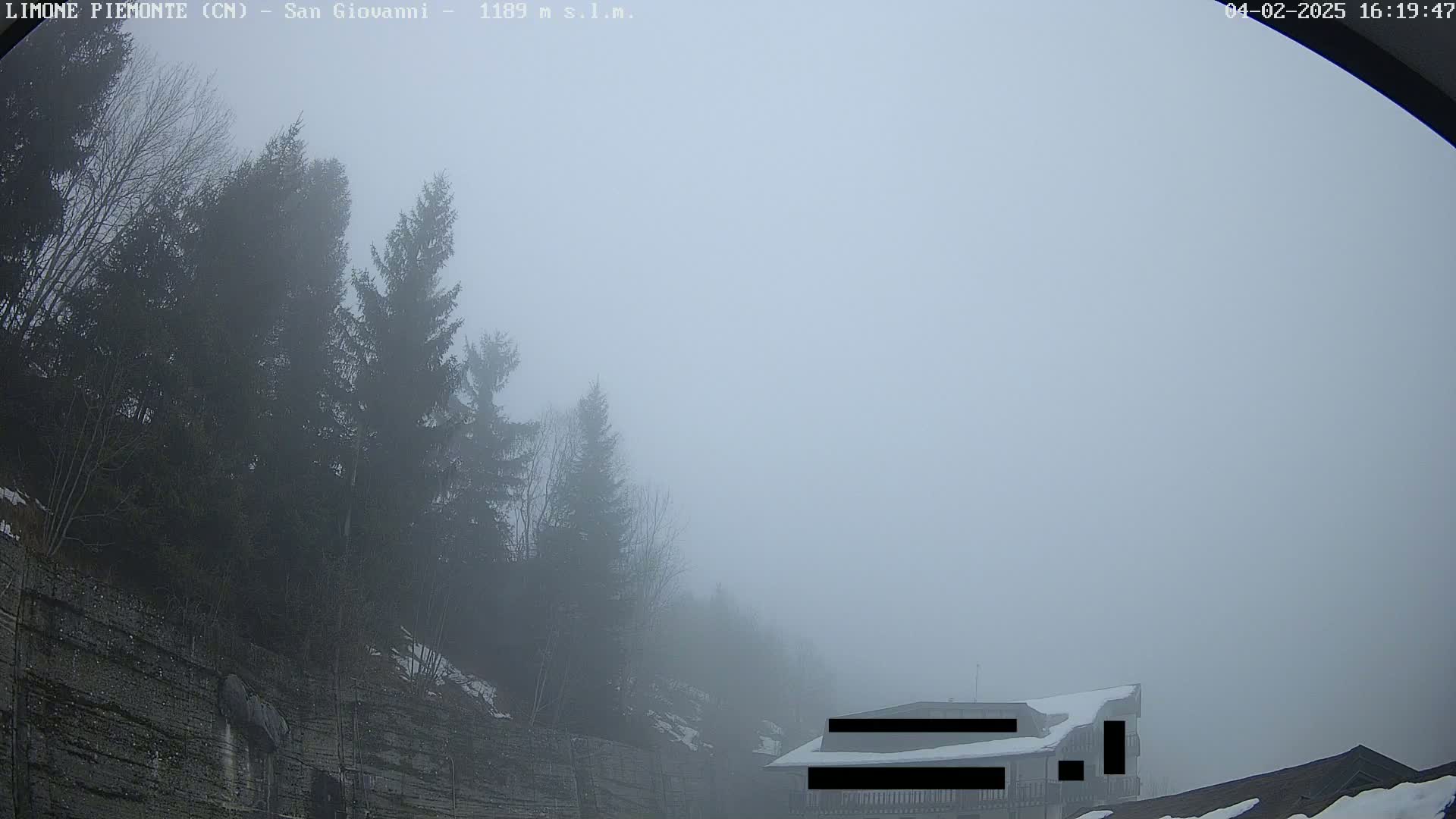 A foggy landscape shows dark evergreen trees on a hillside next to a partially visible building covered in snow.