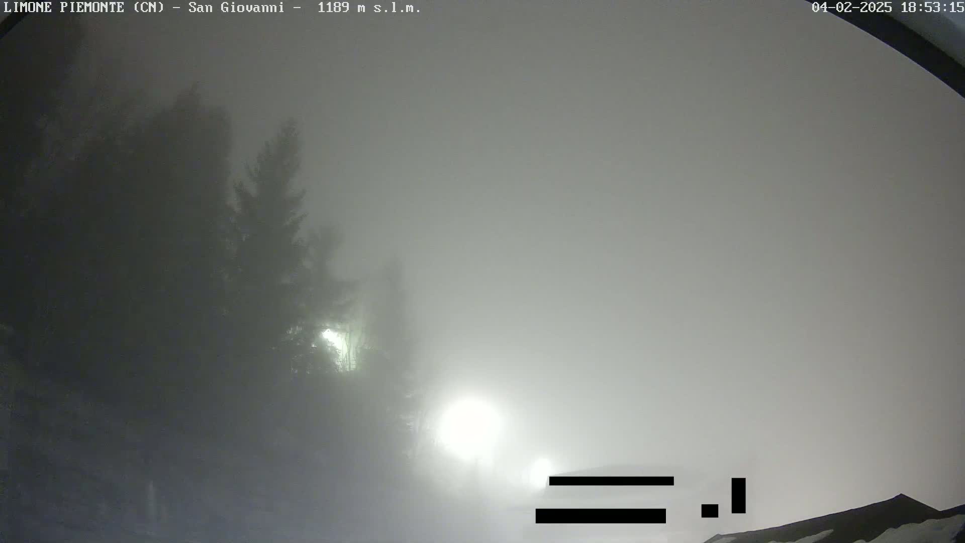 A foggy scene shows indistinct trees and a light source in the distance.