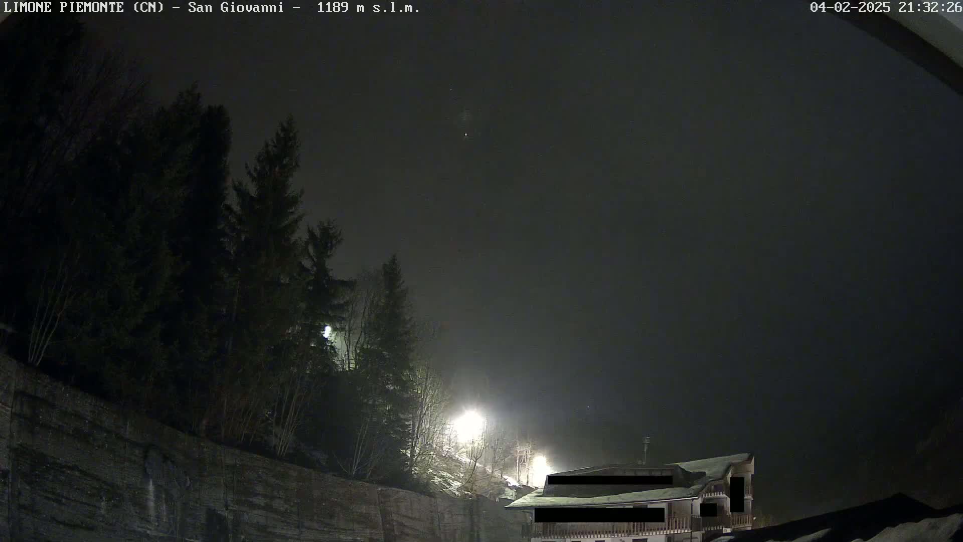 A nighttime, foggy view of dark evergreen trees on a hillside, partially illuminated by streetlights, with a building partially visible in the foreground.