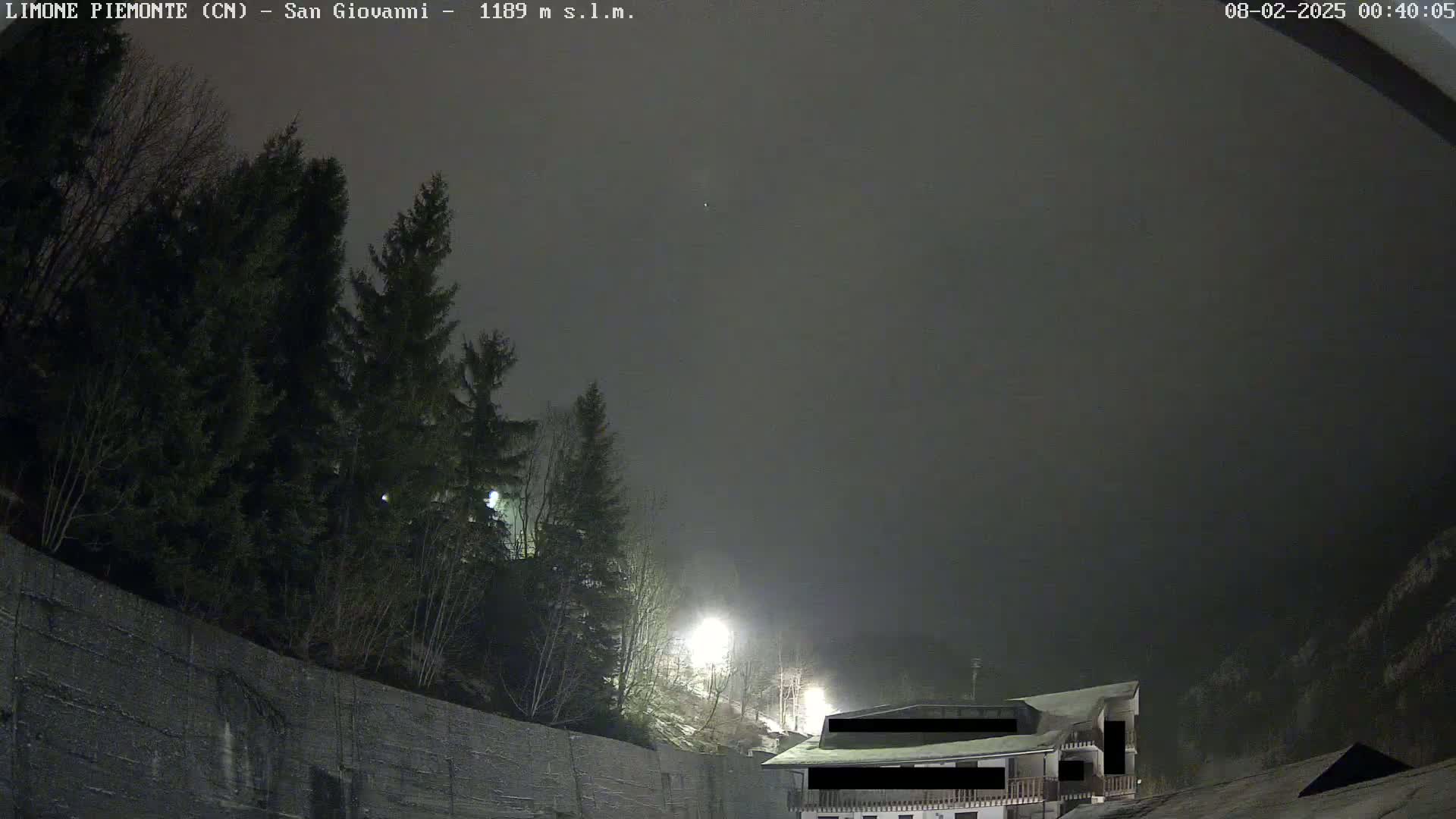 A nighttime, foggy view of dark evergreen trees and a building partially obscured by fog, illuminated by faint lights.
