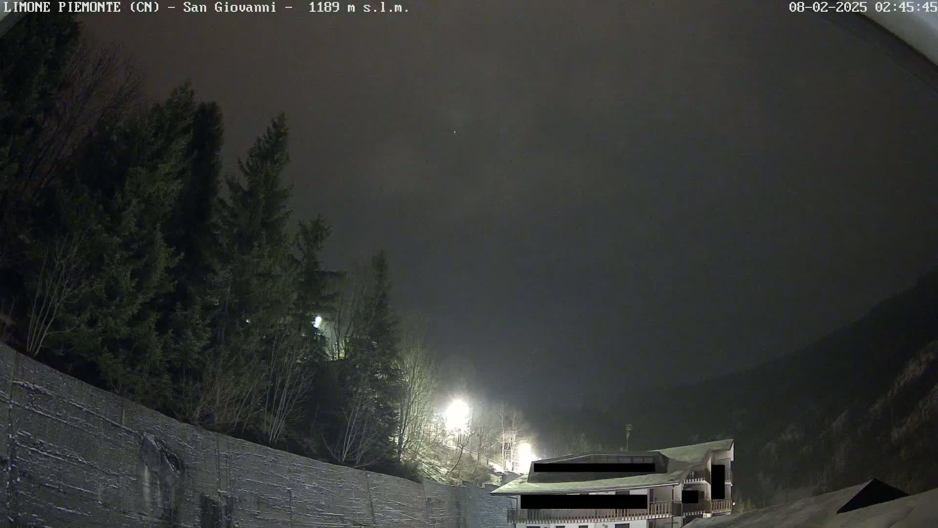 A nighttime view of snow-covered trees and a building under a dark, overcast sky.