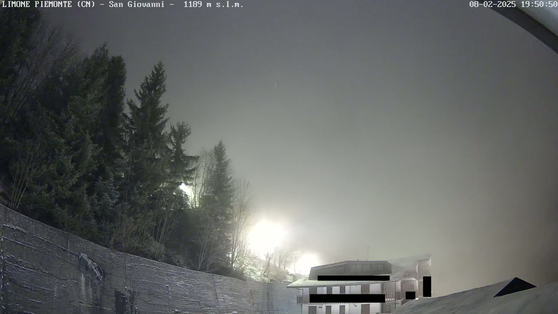 A nighttime, foggy scene shows a building nestled among evergreens, partially obscured by the thick fog.