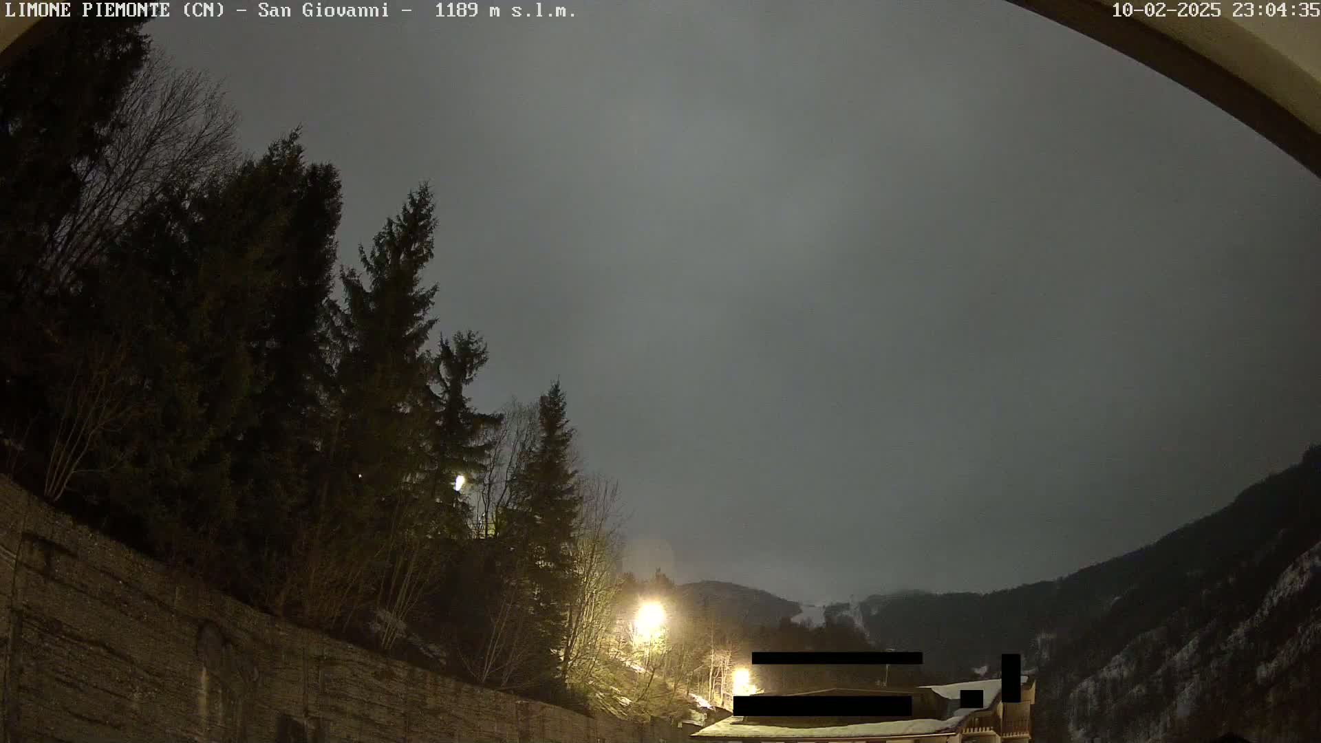 A nighttime view shows dark evergreen trees against an overcast sky, with a hillside faintly visible in the distance.