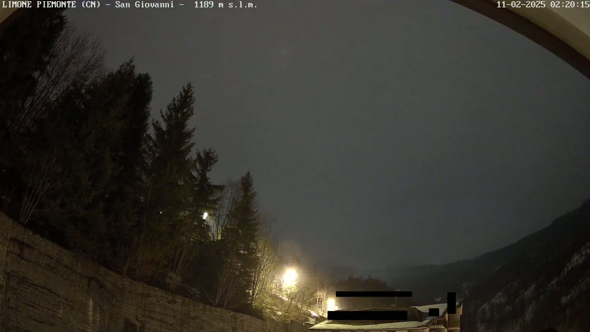 A nighttime view of dark evergreen trees and a stone wall under a dark, overcast sky.