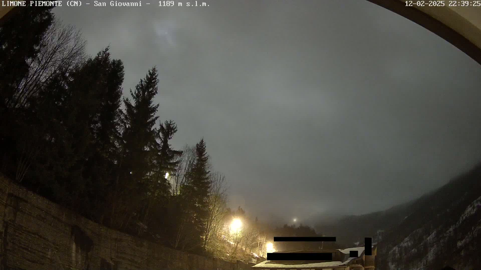 A nighttime view of a foggy mountainside with dark evergreen trees and illuminated streetlights near a stone wall.