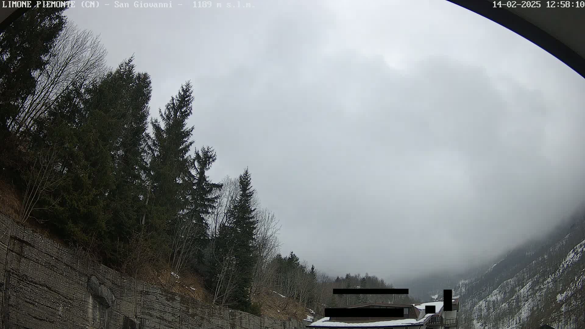 A foggy, overcast day reveals a hillside with evergreen trees, a stone retaining wall, and a partially visible building in the distance.