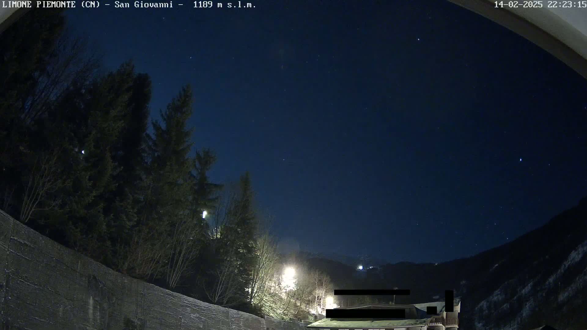 A nighttime view of a mountainside with evergreen trees and a building, under a clear, starry sky.