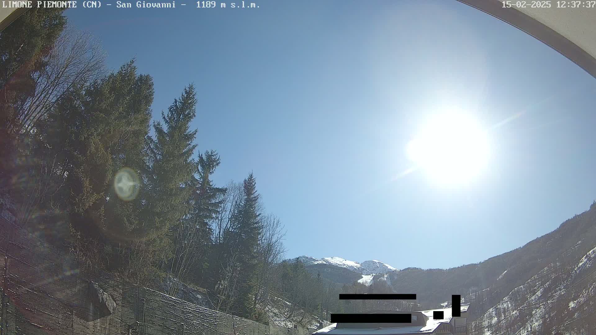 A sunny day with a bright blue sky shows evergreen trees in the foreground and snow-capped mountains in the background.