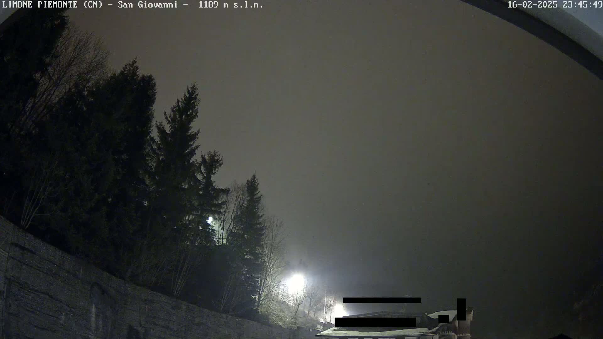 A nighttime view of dark evergreen trees silhouetted against a foggy, gray sky, with a dimly lit building visible in the distance.
