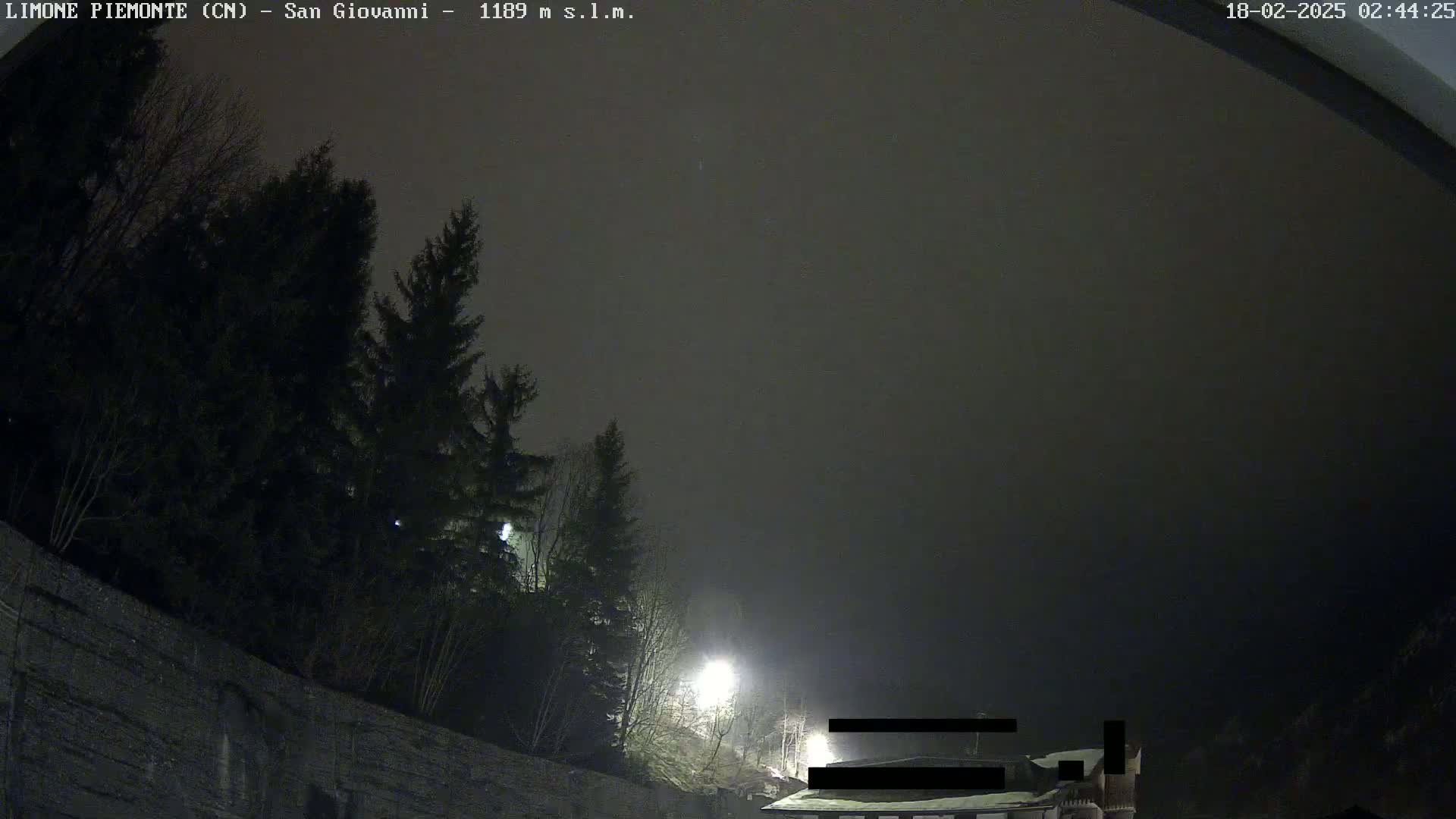 A nighttime, foggy view of dark evergreen trees and a building partially obscured by fog, illuminated by faint streetlights.