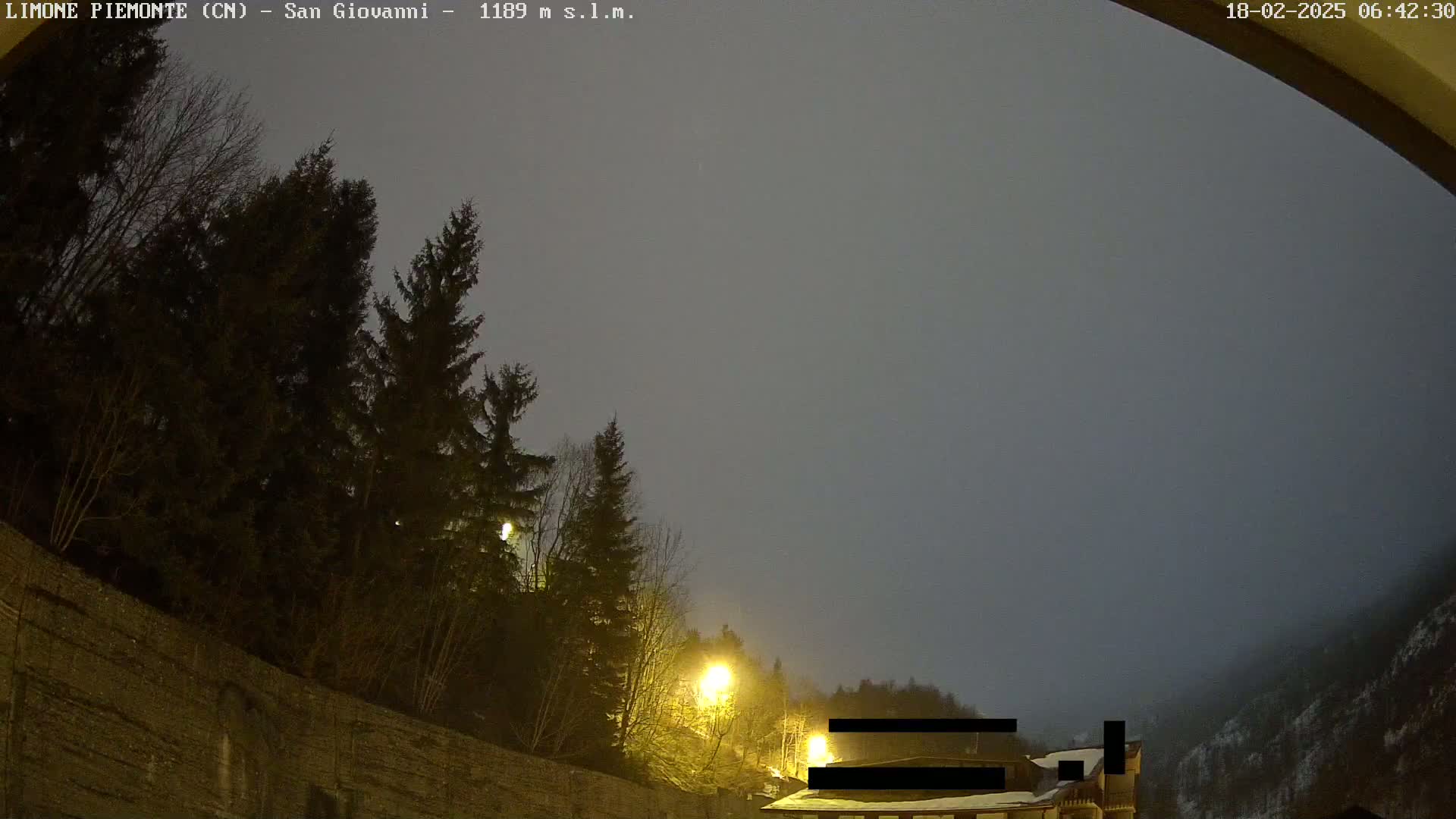 A nighttime, overcast scene shows dark evergreen trees lining a stone wall next to a building partially obscured by fog or mist under dimly lit streetlights.