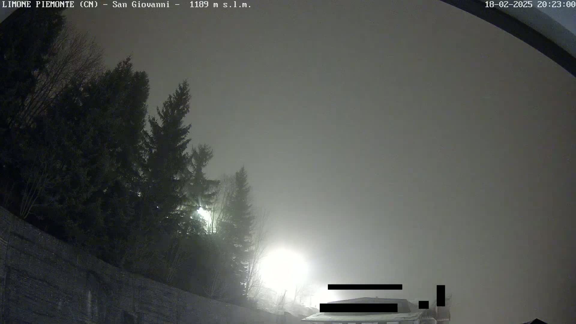 A nighttime scene shrouded in thick fog shows dark evergreen trees, a low stone wall, and a partially obscured structure in the lower right.