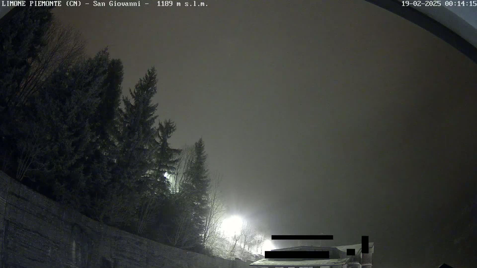 A nighttime scene shows a foggy or hazy sky above dark evergreen trees and a building partially obscured by fog, illuminated by distant lights.