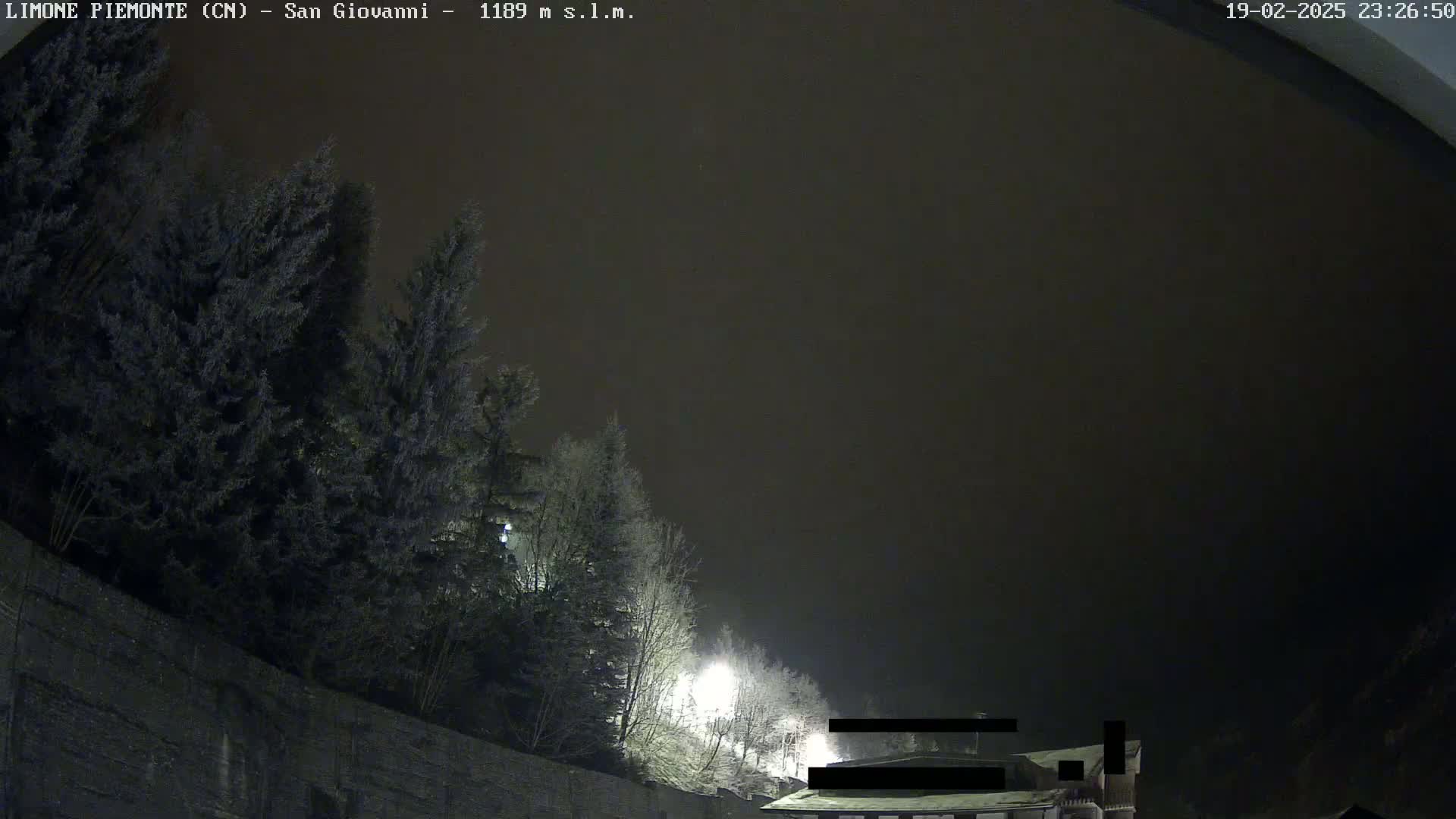 A nighttime view of snow-covered evergreens illuminated by streetlights under a dark, possibly foggy sky.