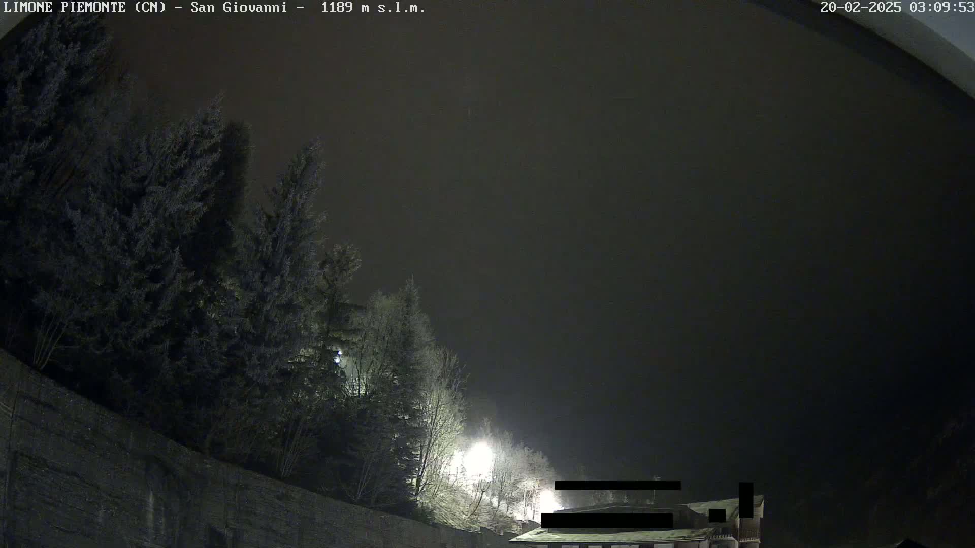 A nighttime view shows dark evergreen trees silhouetted against a hazy, dark sky above a low stone wall, with a building partially visible in the bottom right corner.