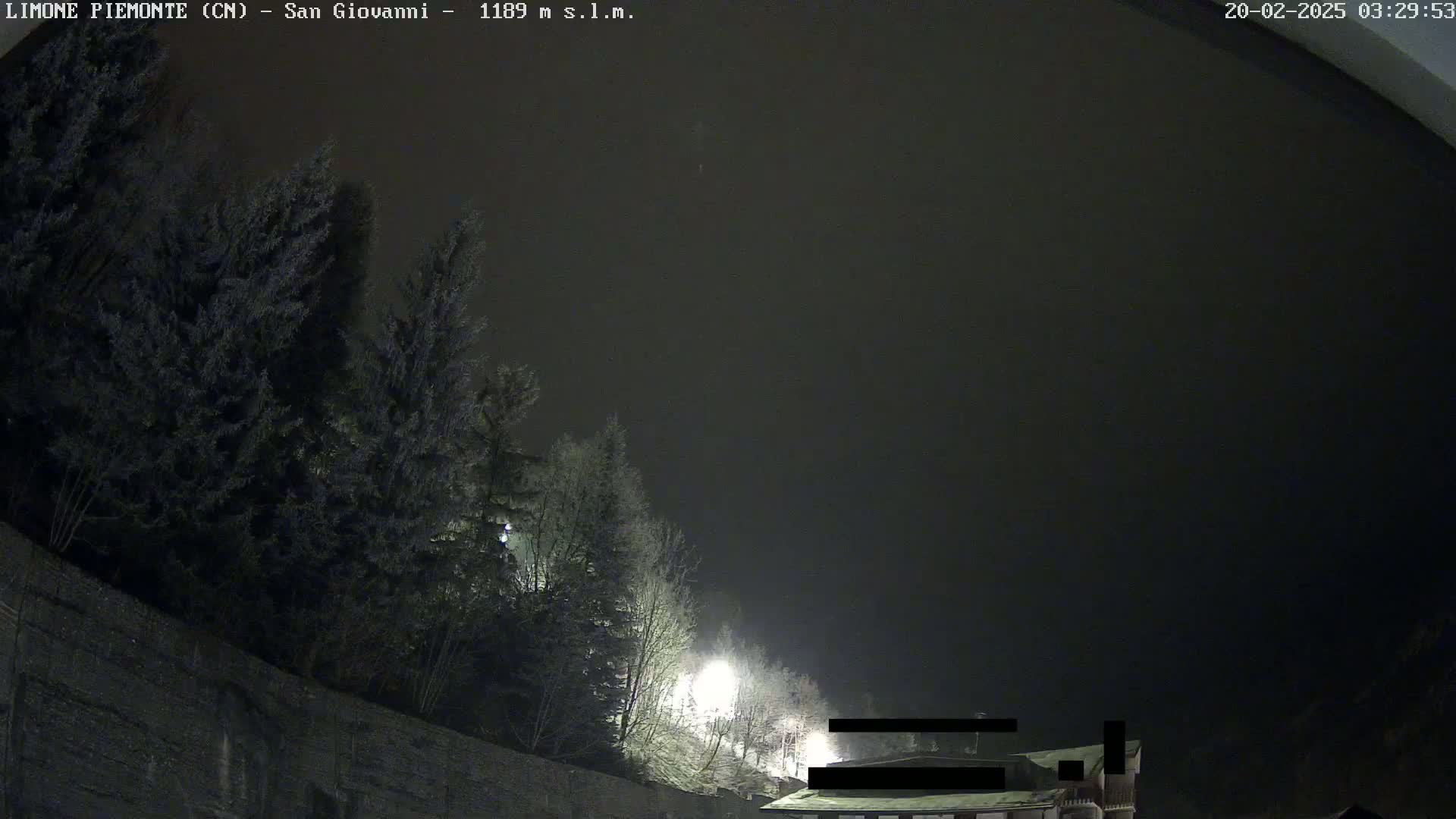 A nighttime view of dark evergreen trees and a building under a hazy, dark sky.