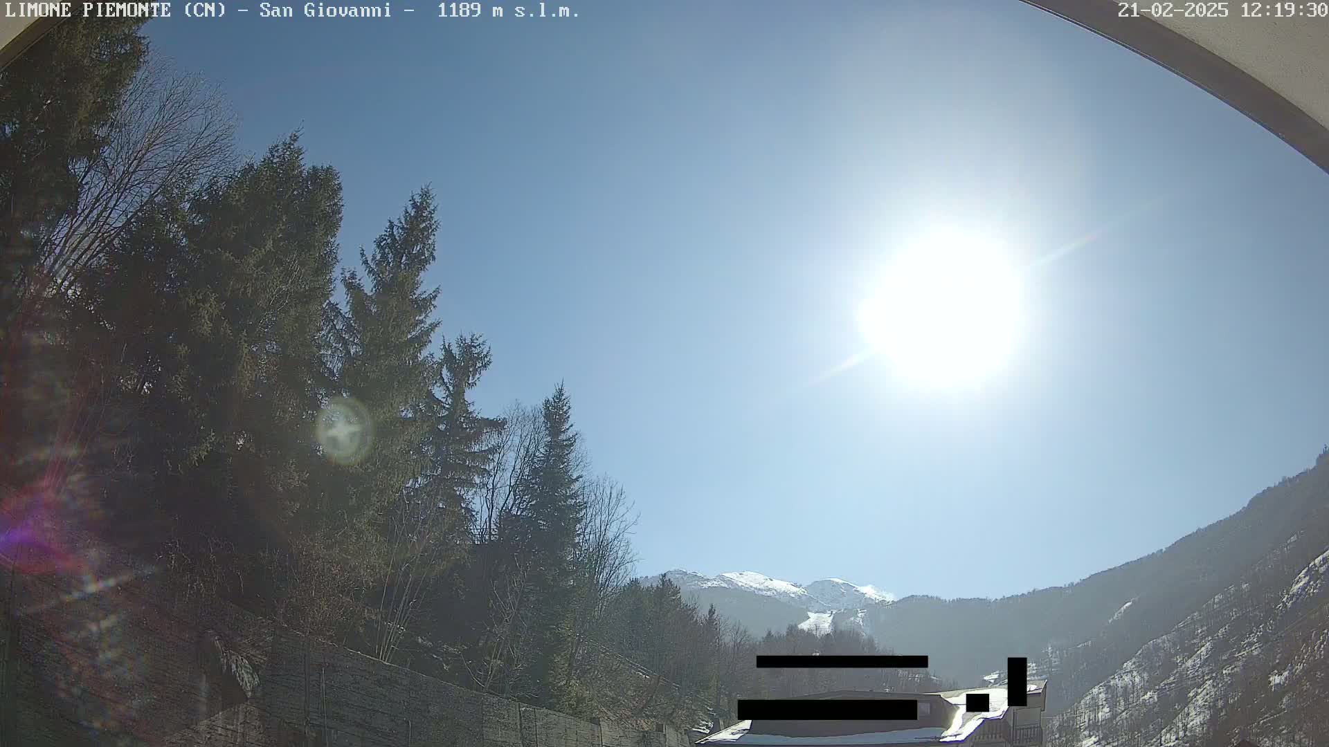 A sunny day in a mountainous region, with evergreen trees in the foreground and snow-capped mountains in the background.