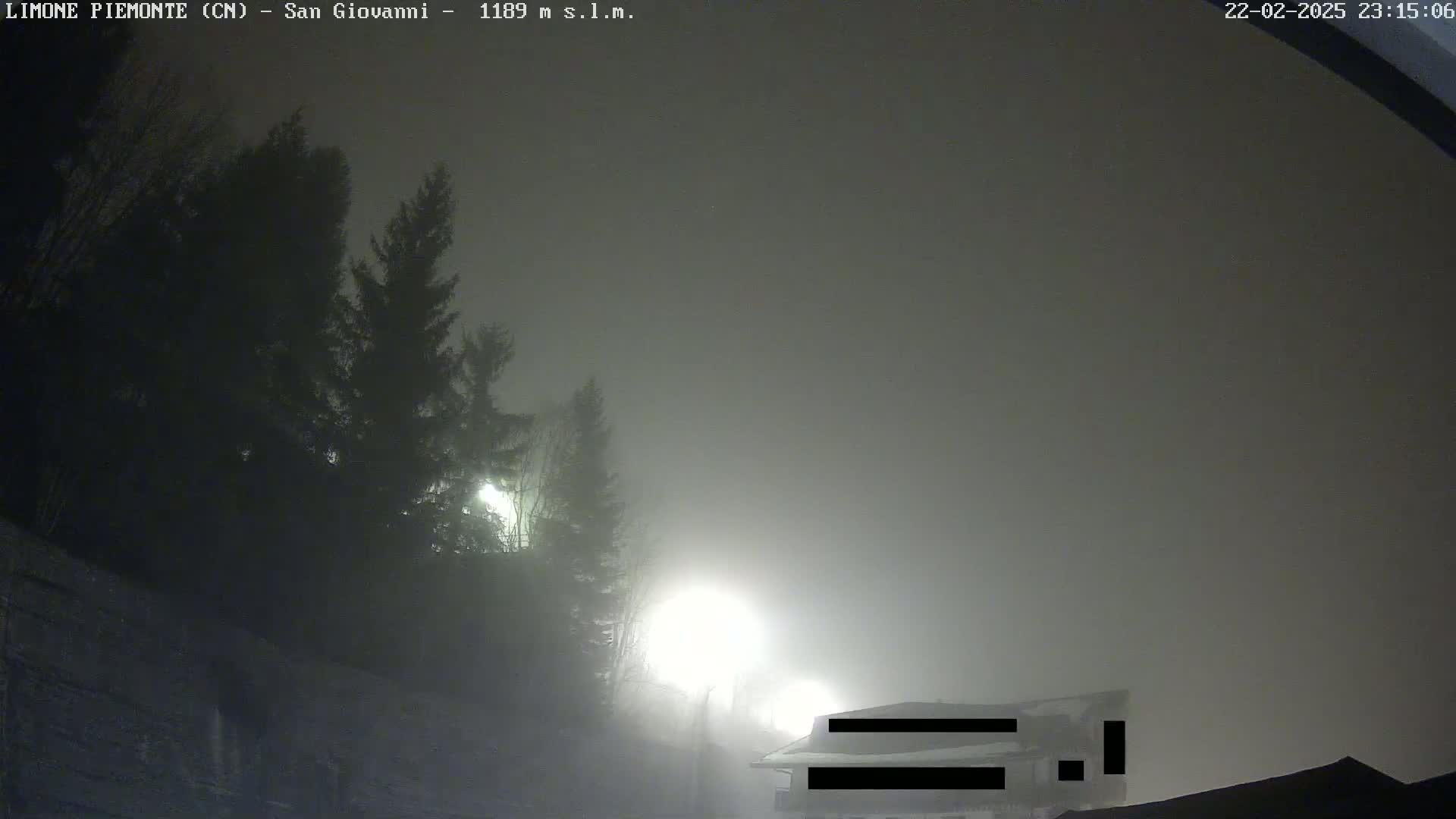 A nighttime, foggy scene shows dark evergreen trees to the left, and a partially visible building with lights in the lower right.