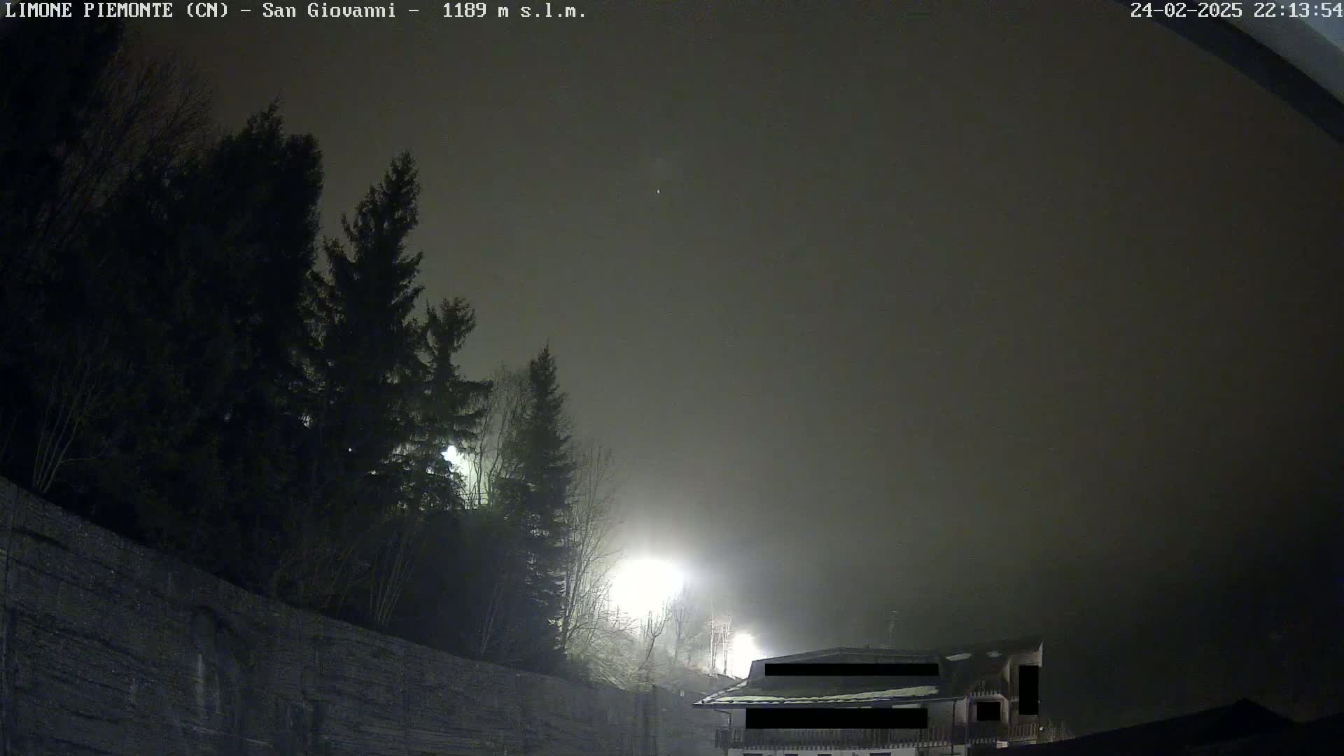 A nighttime, foggy scene shows dark evergreen trees silhouetted against a building, lit by artificial light.