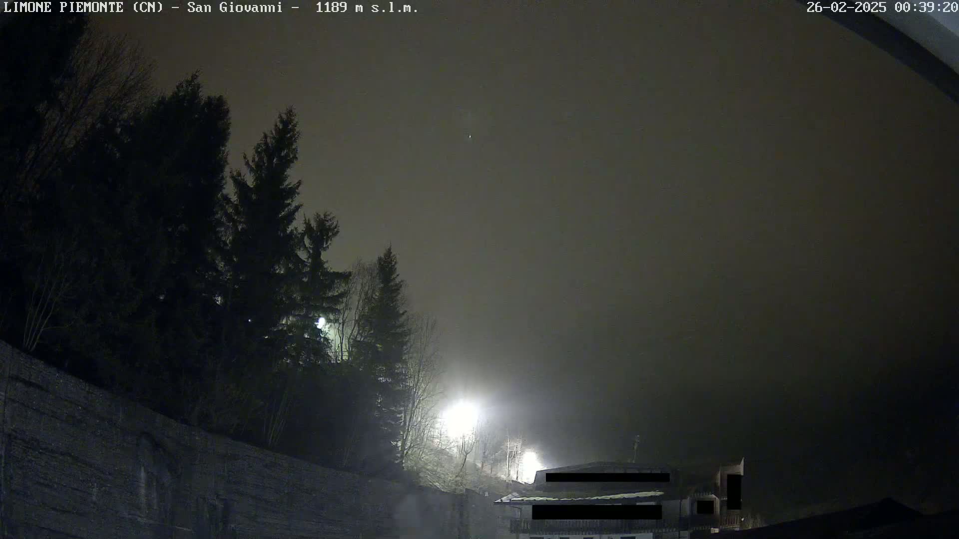 A foggy night scene shows dark evergreen trees silhouetted against a building and a low-lying fog.