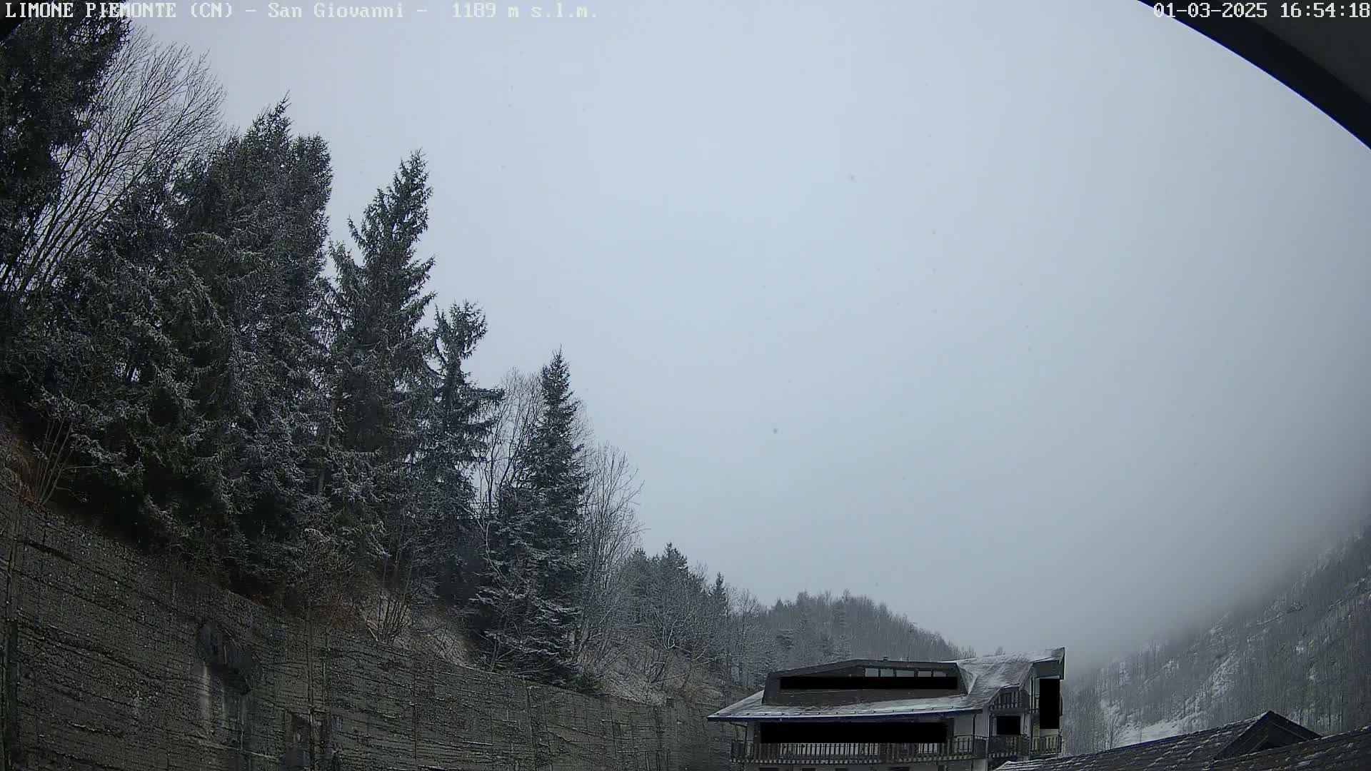 Snow lightly falls on a snow-covered hillside with evergreen trees and a building partially visible in the foreground.