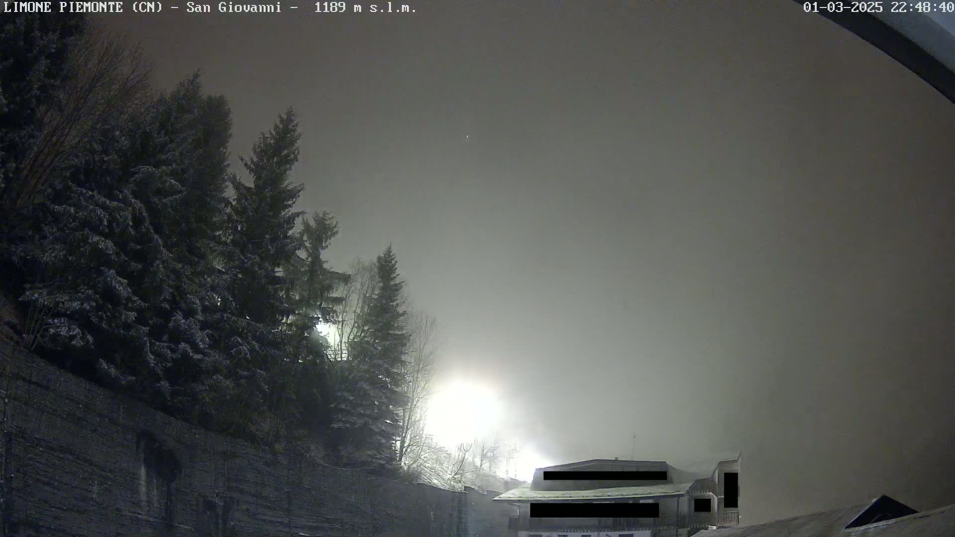 A foggy night scene shows snow-dusted evergreens near a building, illuminated by artificial light.