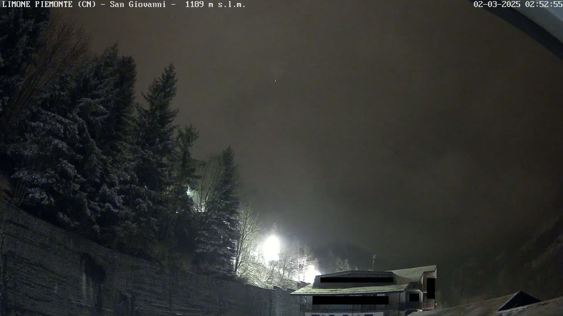 Snow-covered evergreen trees line a dark, foggy night scene, illuminated by distant lights near a building partially obscured by fog.