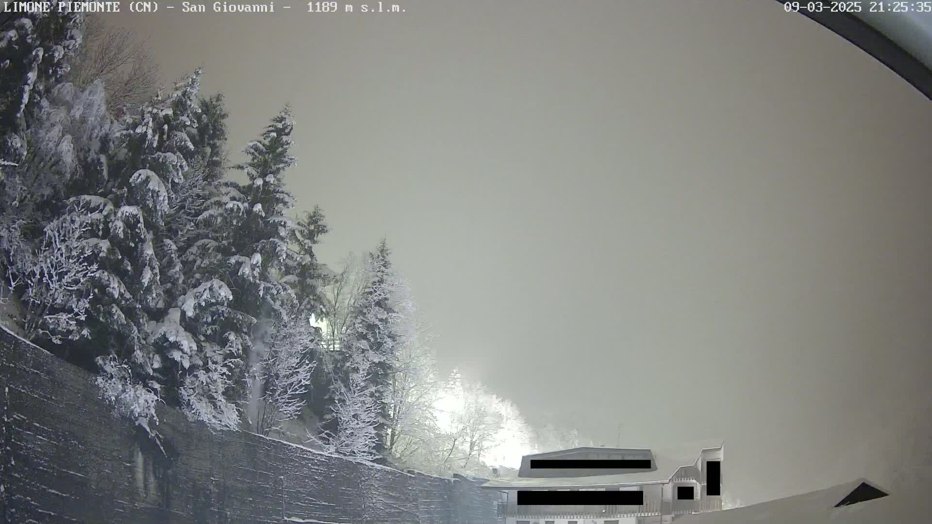 Snow-covered trees and a building are visible in a foggy, nighttime scene.