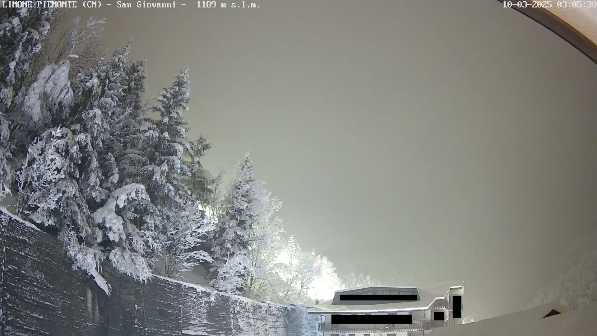 Snow-covered evergreen trees line a stone wall overlooking a building in foggy conditions.
