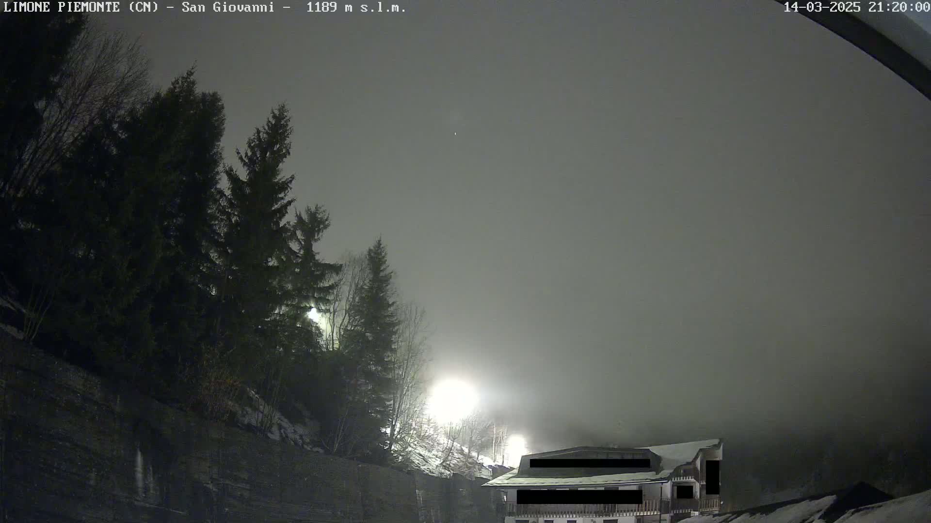 A nighttime scene shows a foggy, dimly lit area with evergreen trees and a building partially obscured by fog.