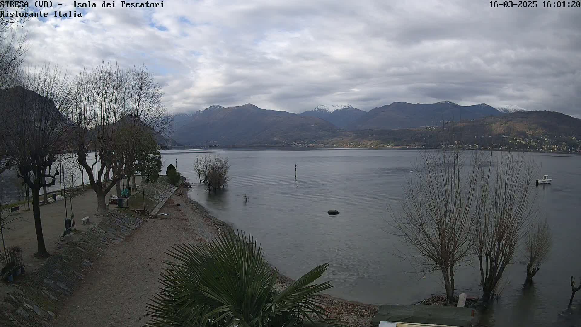 A calm lake with snow-capped mountains in the background under an overcast sky, viewed from a shoreline with bare trees and a sandy beach.
