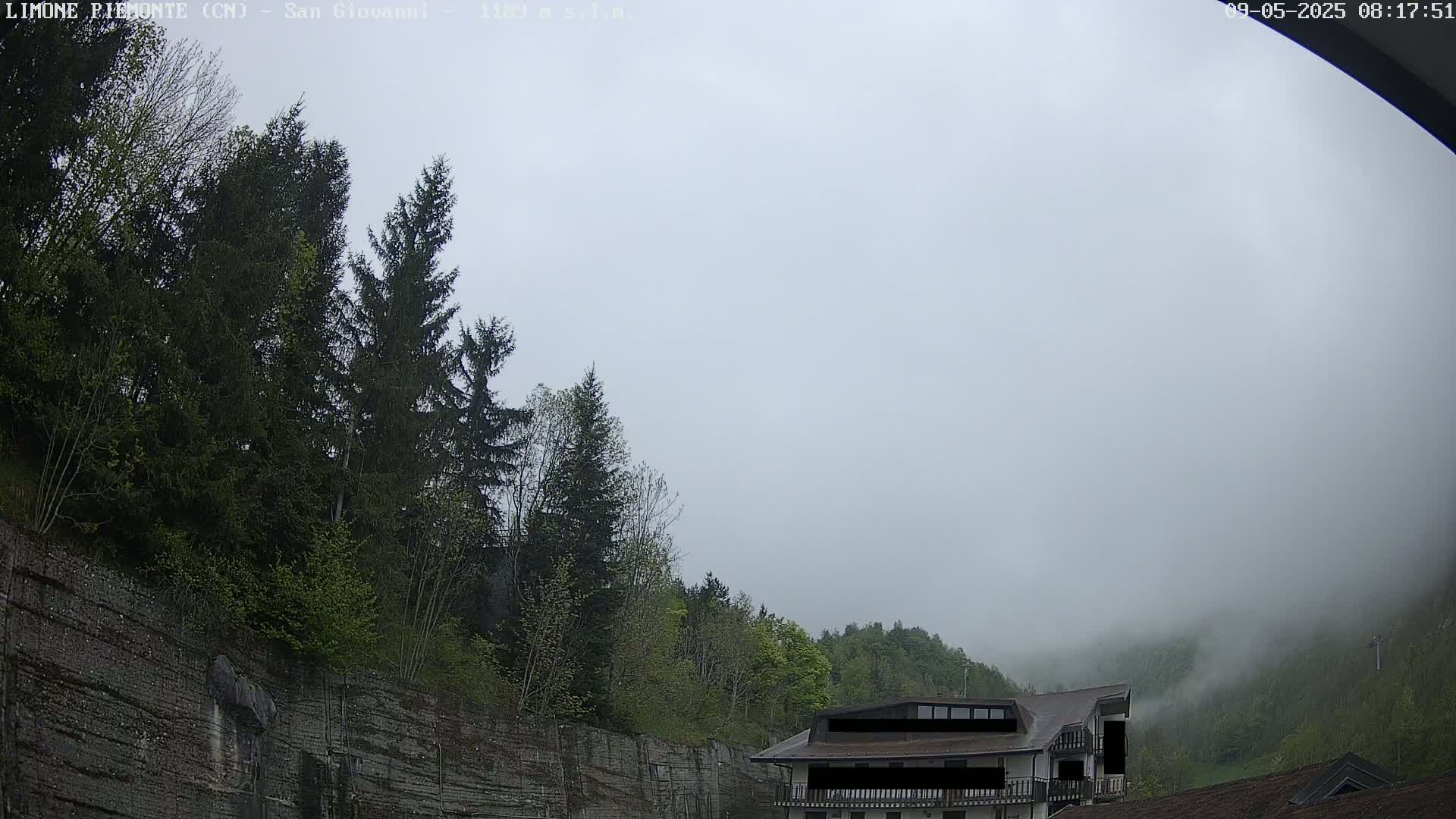 A foggy day reveals a rocky hillside covered in evergreen and deciduous trees, with a building partially obscured by fog in the lower right.