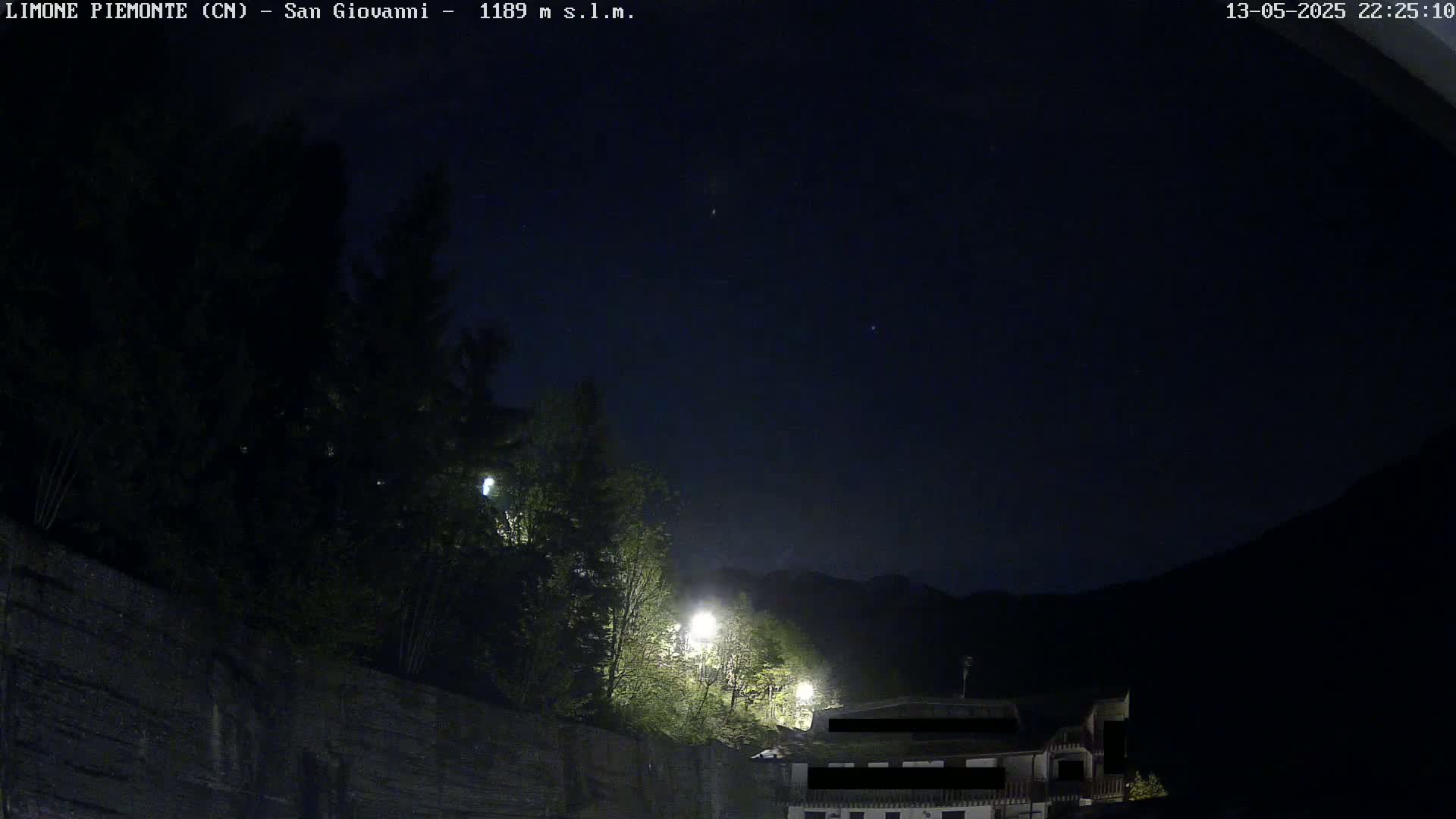A nighttime view of dark trees and a building on a hillside under a clear, starlit sky.