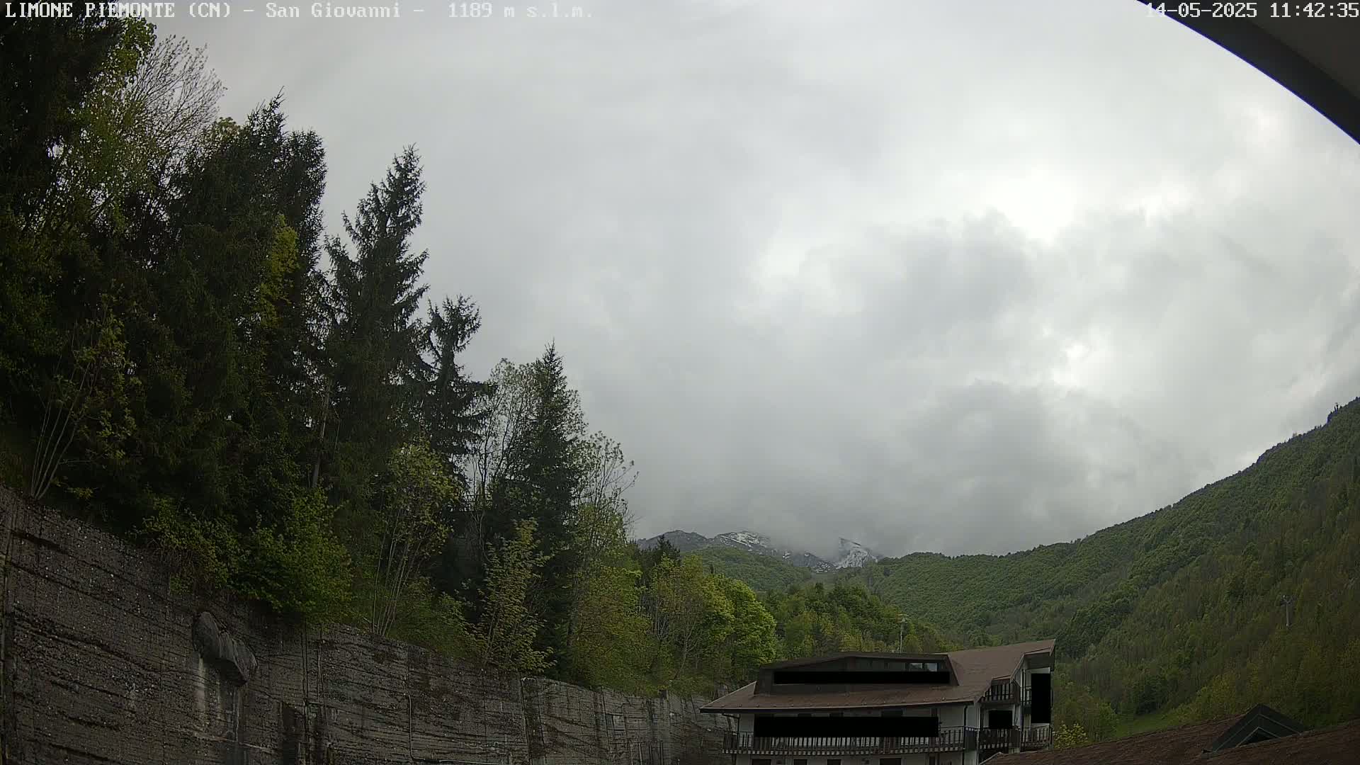 A cloudy day reveals a mountain range partially covered in snow, visible beyond a hill of lush green trees and a building partially obscured from view.