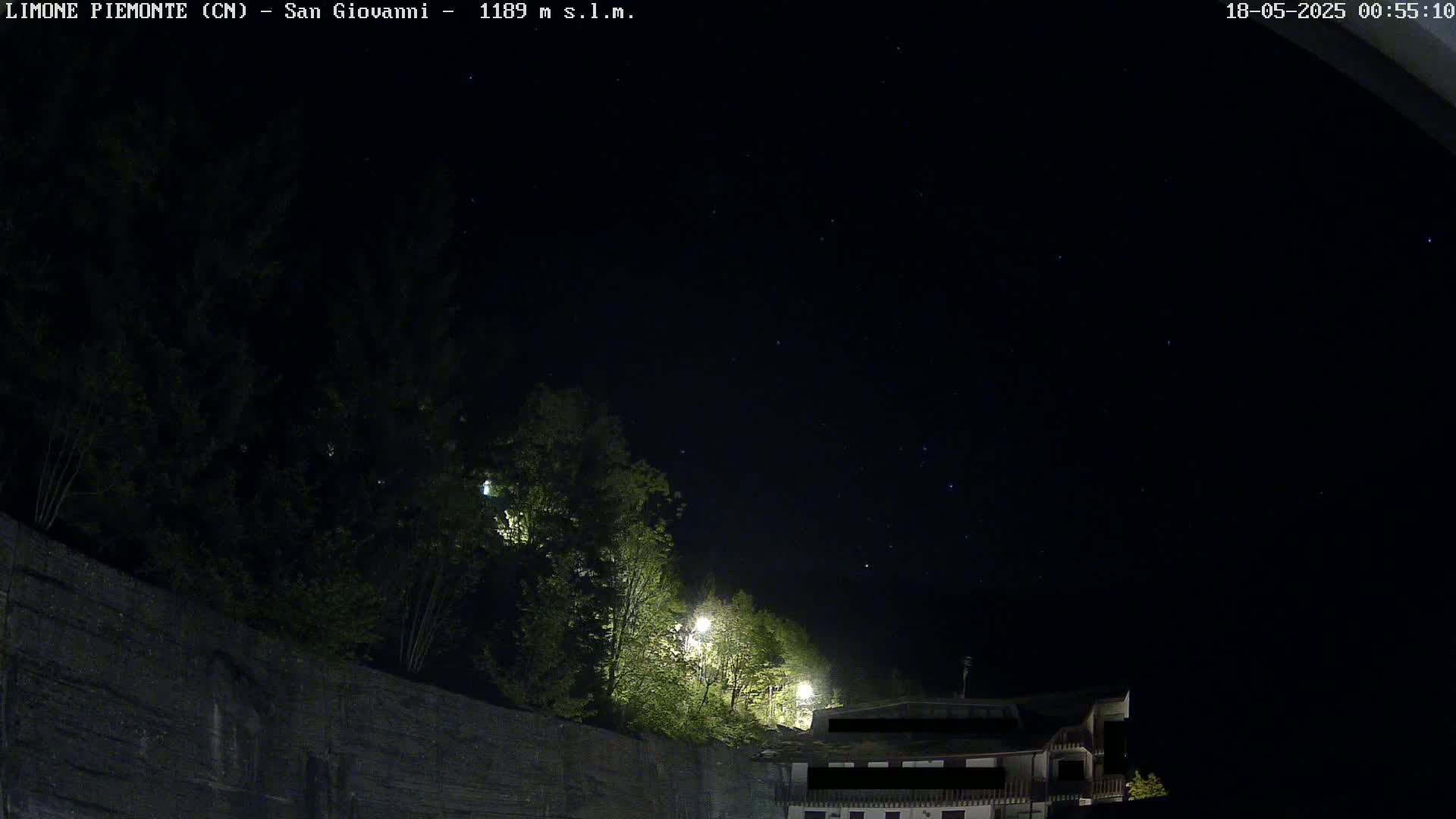 A nighttime view of a stone wall topped with dark green trees and a building under a clear, starlit sky.