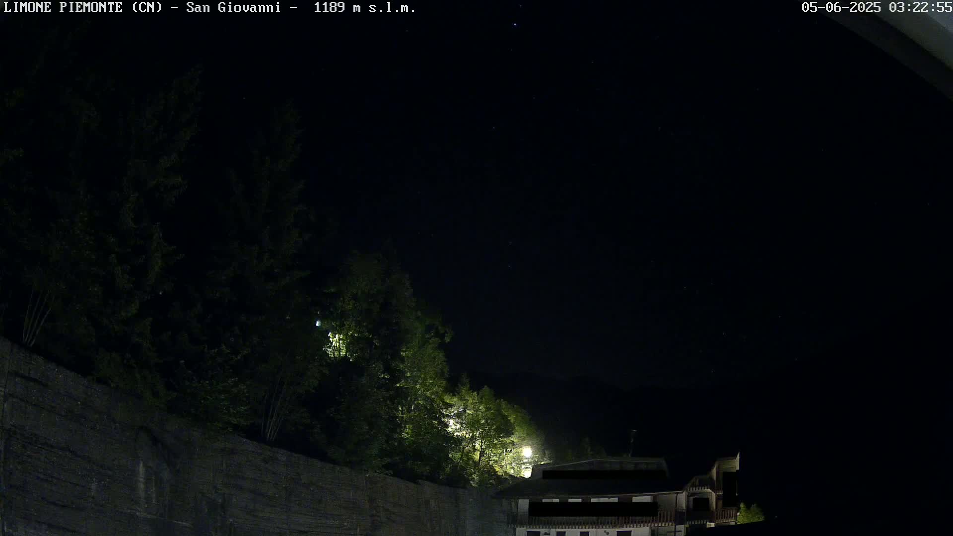 A nighttime view of dark green trees silhouetted against a clear, starlit sky, with a section of a stone wall and a building partially visible in the bottom right corner.