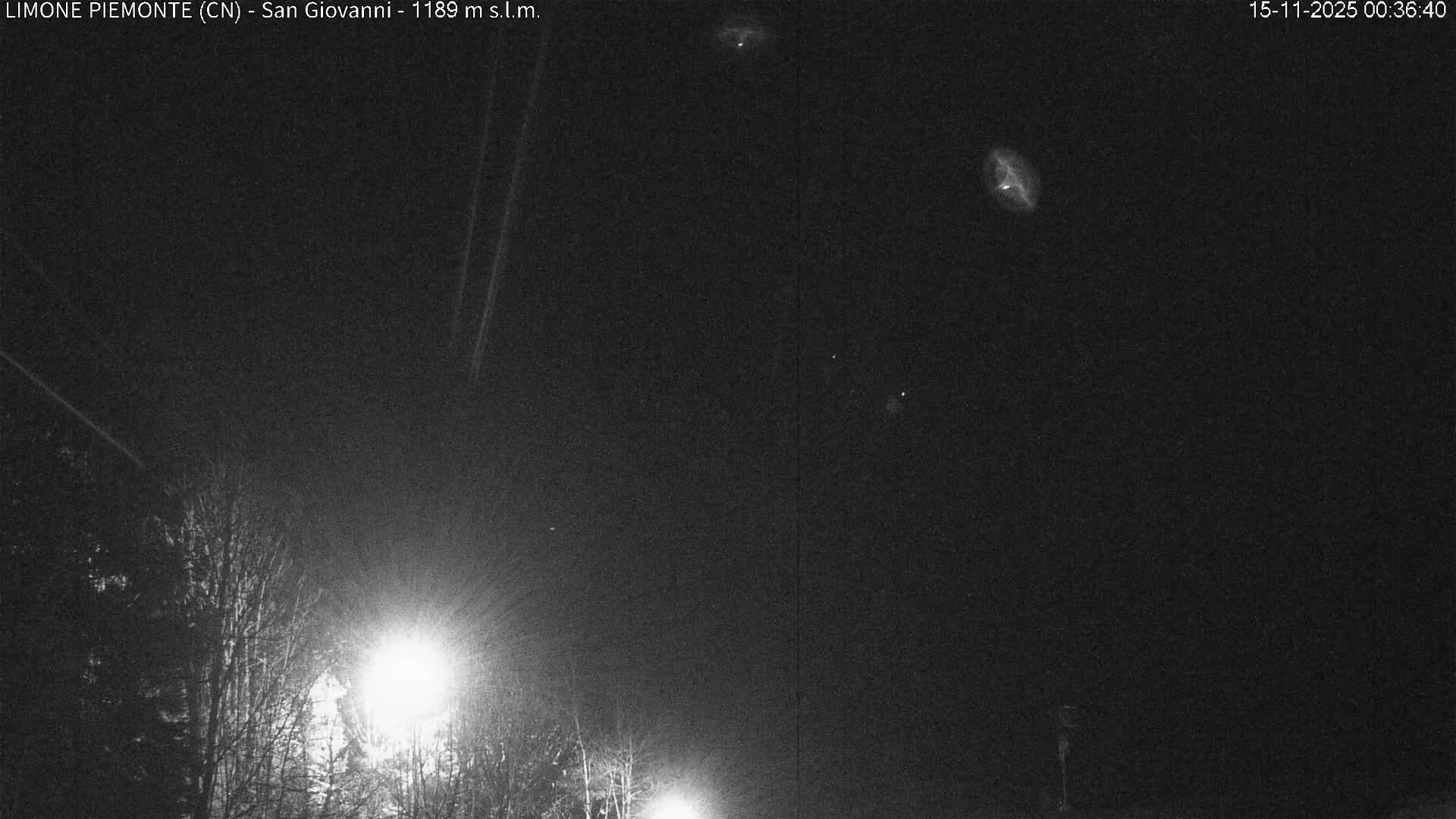 A dark night scene captured in black and white shows bright artificial lights illuminating bare trees against a hazy sky, with significant light glare obscuring distant visibility.