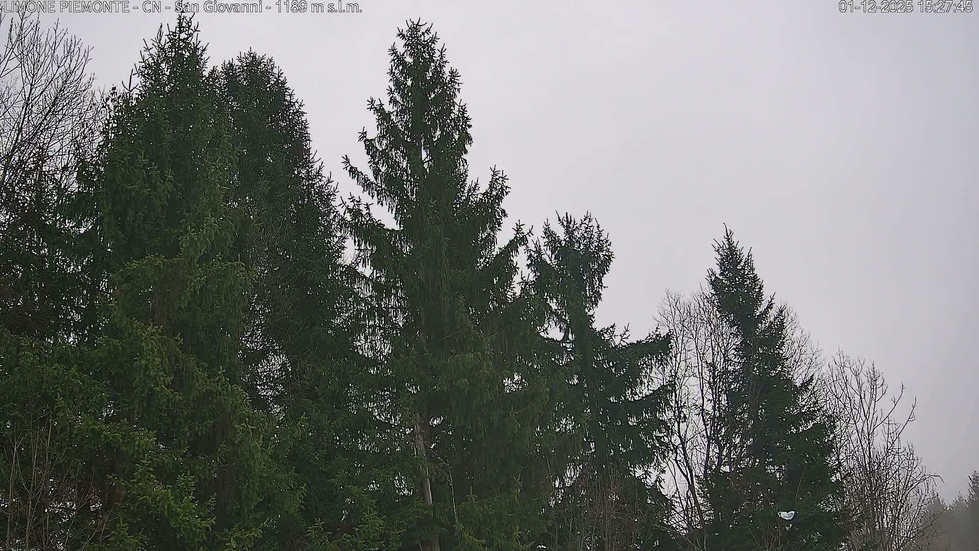 Limone Piemonte,  San Giovanni Live Cam - Cuneo, Piedmont, Italy